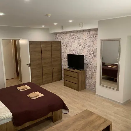 罗卡公寓 公寓 塔林